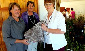 Planteleer vir Bietoubossers